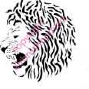 0212 lion head re-usable stencil